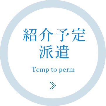 紹介予定 派遣 Temp to perm